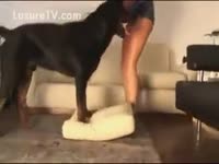 Dog Dishes Out Doggy Style